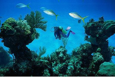 订书钉得了MVP！部分Switch2玩家开箱即遇主机损毁